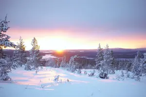 Tour image of Private: Snowshoeing Safari in spectacular National Park