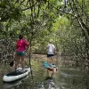 Image of Stand Up Paddleboarding