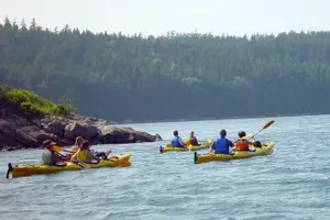 Tour image of Aqua Safari Kayak tour departing Southwest Harbor