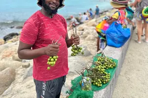 Tour image of All In One Island Tour of St. Martin | St. Maarten