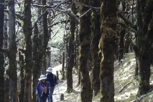 Tour image of How to travel to Bhutan