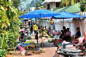 Tour image of Luang Prabang World Heritage, Pak Ou Caves, River Sunset Cruise