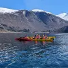 Image of On the Water