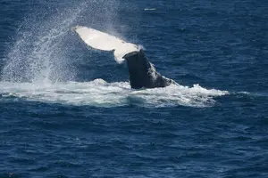 Image of Australia