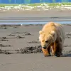 Image of Nature and Wildlife Tours