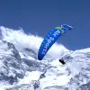 Image of In the Air