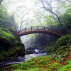 Image of Photography Tours