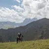 Image of Pack Animal Tours