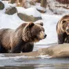 Image of Zoos & Wildlife Parks