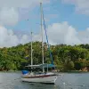 Image of Sightseeing Cruises