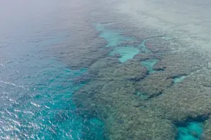 Tour image of Boat Fundive 2Dives 【Minna, Sesoko , Motobu Okinawa】