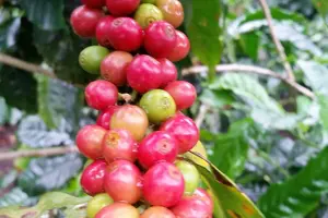 Image of Panama