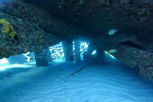 Tour image of Beginner Scuba Diving Guided Tour - No Experience Required