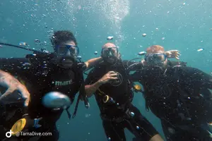 Tour image of Try Scuba Diving / Basic Diver