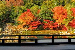 Tour image of PERFECT KYOTO 1-Day Bus Tour