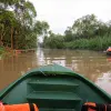 Image of Speed Boat Rentals