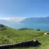 Image of Wine, Beer & Spirits