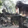 Image of Natural Attractions