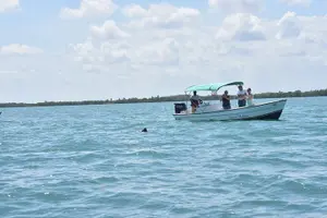 Tour image of Monkey River Wildlife Encounters and Manatee Watch