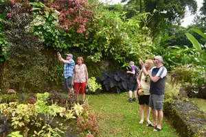 Tour image of Montreal Garden , Belmont look out and Rawacou Recreation park from IV TOURS