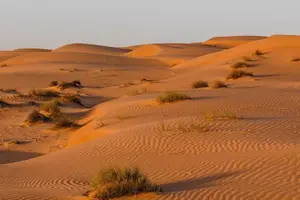 Tour image of Desert Safari Sharing Tours