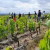 Image of Eco Tours