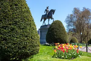 Tour image of Highlights and History of Boston: GPS Guided Audio Tour