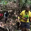 Image of Hiking Tours