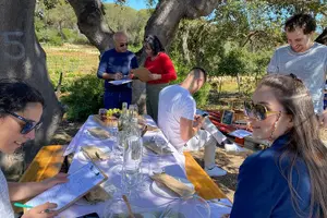 Tour image of Seven Hanging Valleys Expedition with Lunch in the Vineyard