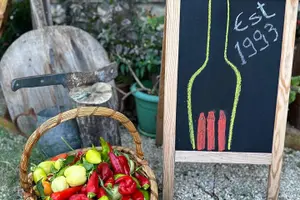Tour image of Traditional Albanian Food and Wine Tasting