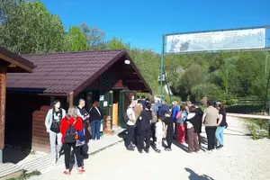 Tour image of Bran Castle and more options tour from Brasov