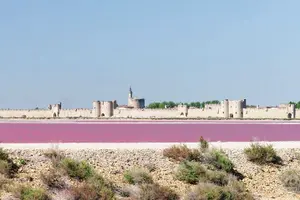 Tour image of Camargue Small-Group Day Trip from Avignon