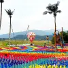 Image of Amusement Parks
