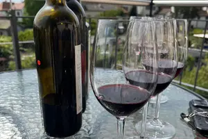Tour image of Gourmet Food and Wine Tasting Walk in Lavaux