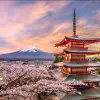 Image of Sightseeing Cruises