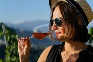 Tour image of Vineyard Tour with Wine Tasting within Nice city borders