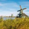 Image of Seasonal