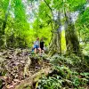 Image of Nature and Wildlife Tours