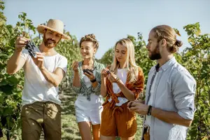 Tour image of Grape Escapes Wine Full-Day Private Tour in Ithaca