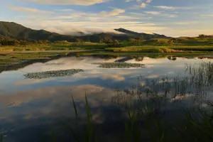Tour image of 3hours Nature Guided Tour in Shiretoko Five Lakes
