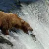Image of Seaplane Tours