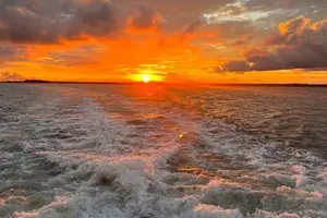 Tour image of Hilton Head Island Sunset Dolphin Tour