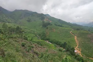 Tour image of Trek Adventure in Ta Van Village, Lao Chai