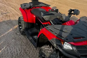 Tour image of 4 Hour Doha Desert Safari Tour