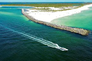 Tour image of Snorkeling, Dolphin and Wildlife Sightings at St. Andrews Bay
