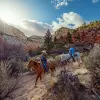 Image of Horseback Riding