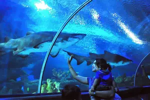 Image of Malaysia