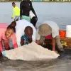 Image of Culture