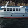 Image of Whale Watching