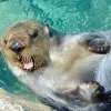 Image of Nature and Wildlife Tours